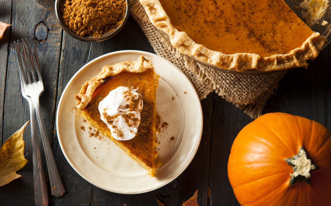 pumpkin-pie-with-whipped-cream-is-like-beautiful-and-practical-replacement-windows
